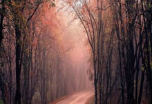 雷火电竞入口-内马尔点燃！圣殿狂欢夜诠释足球信仰