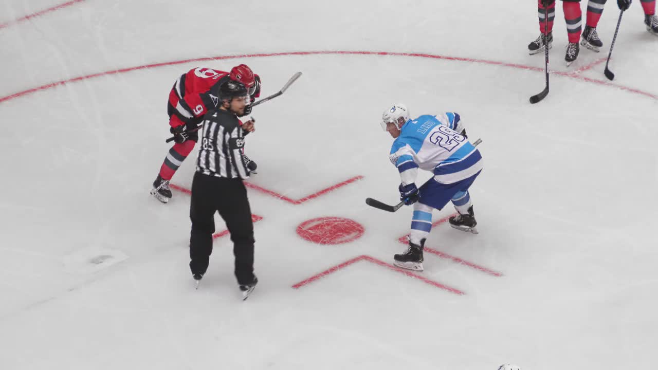 爱尔兰选手在曲棍球比赛中称霸 爱尔兰选手在曲棍球比赛中称霸