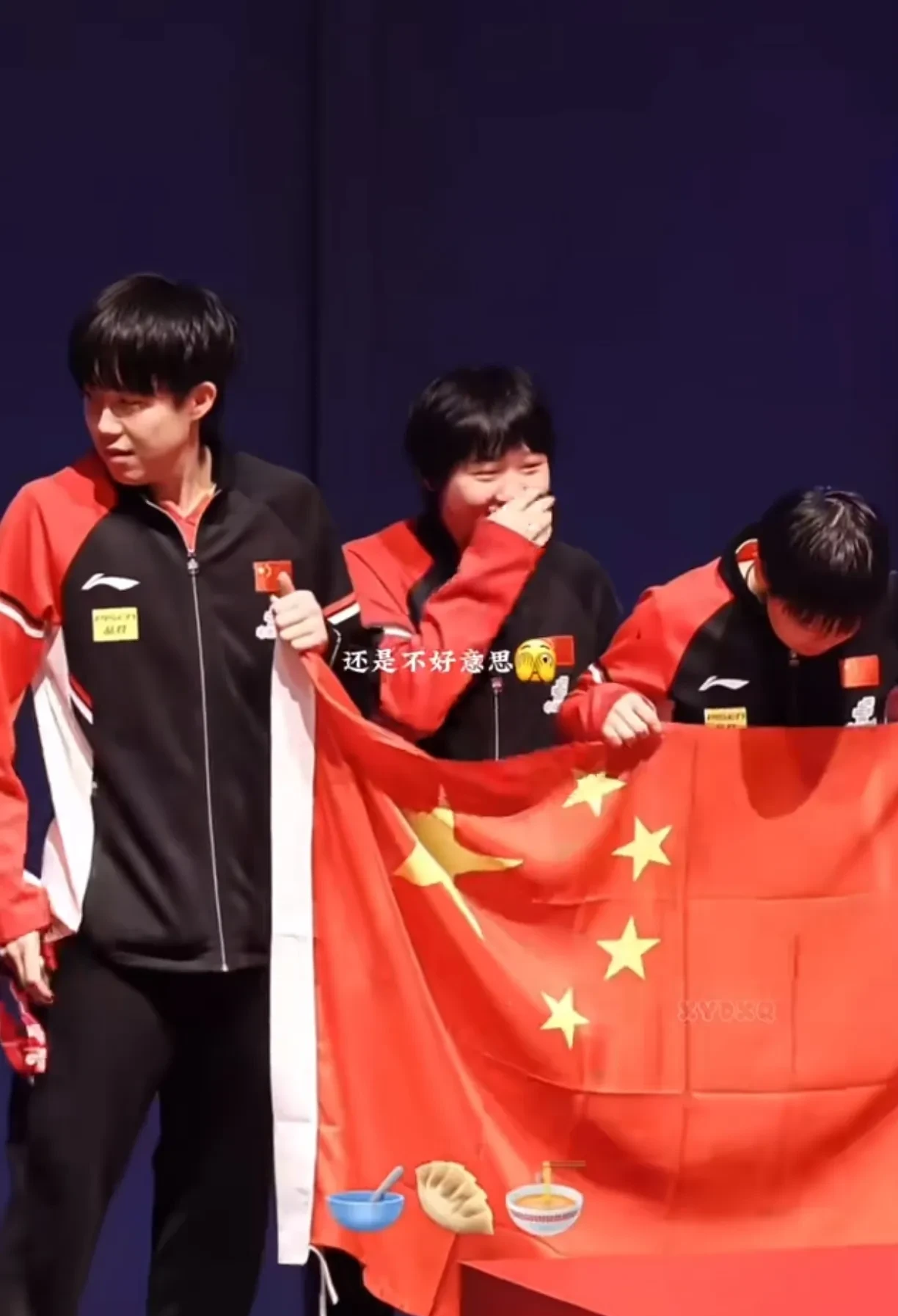 雷火电竞官网-德国队险胜中国队，张继科带队取胜