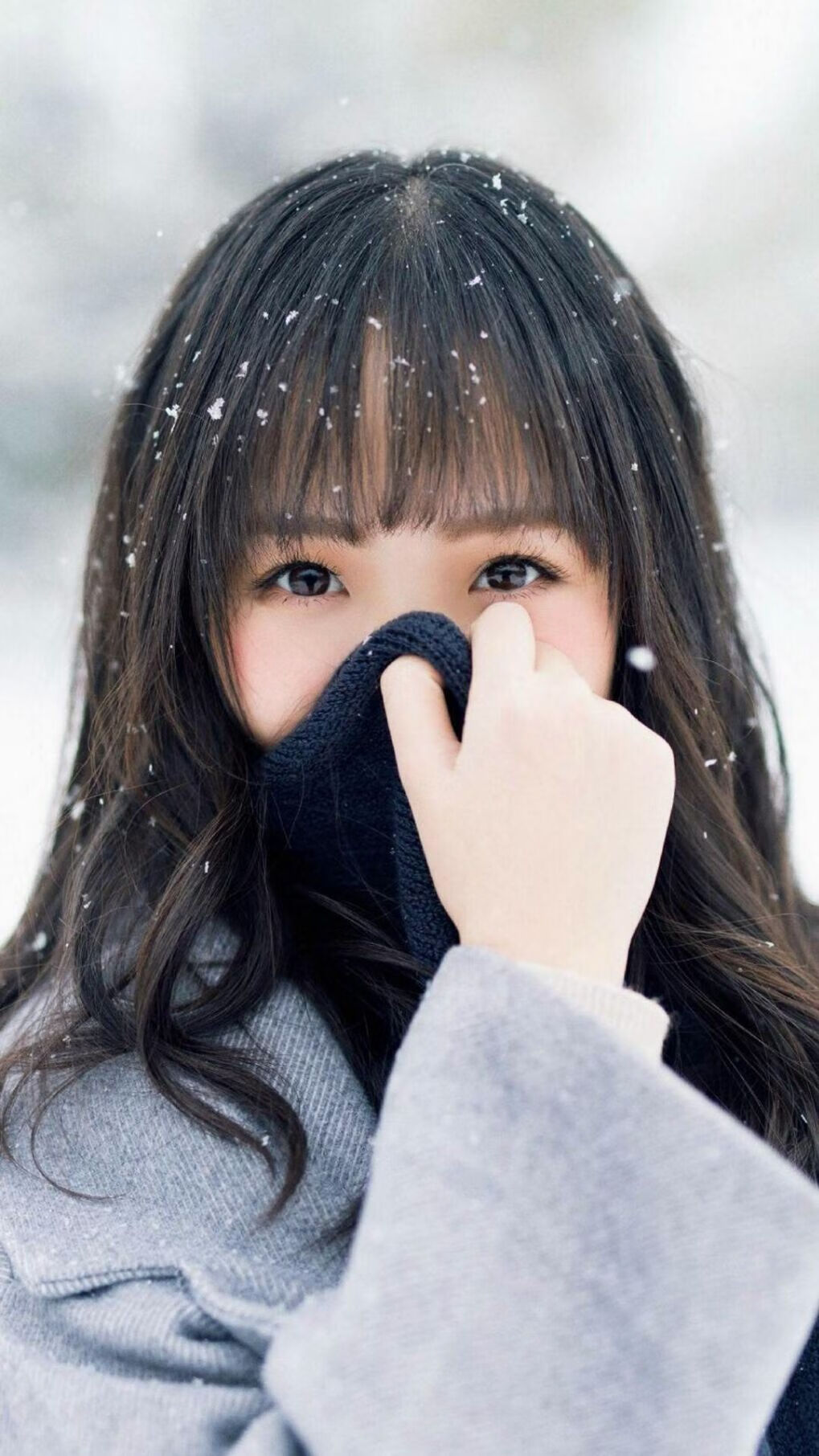 冷艳一枪,哈弗茨助伊朗轻取加拿大的惊天逆转