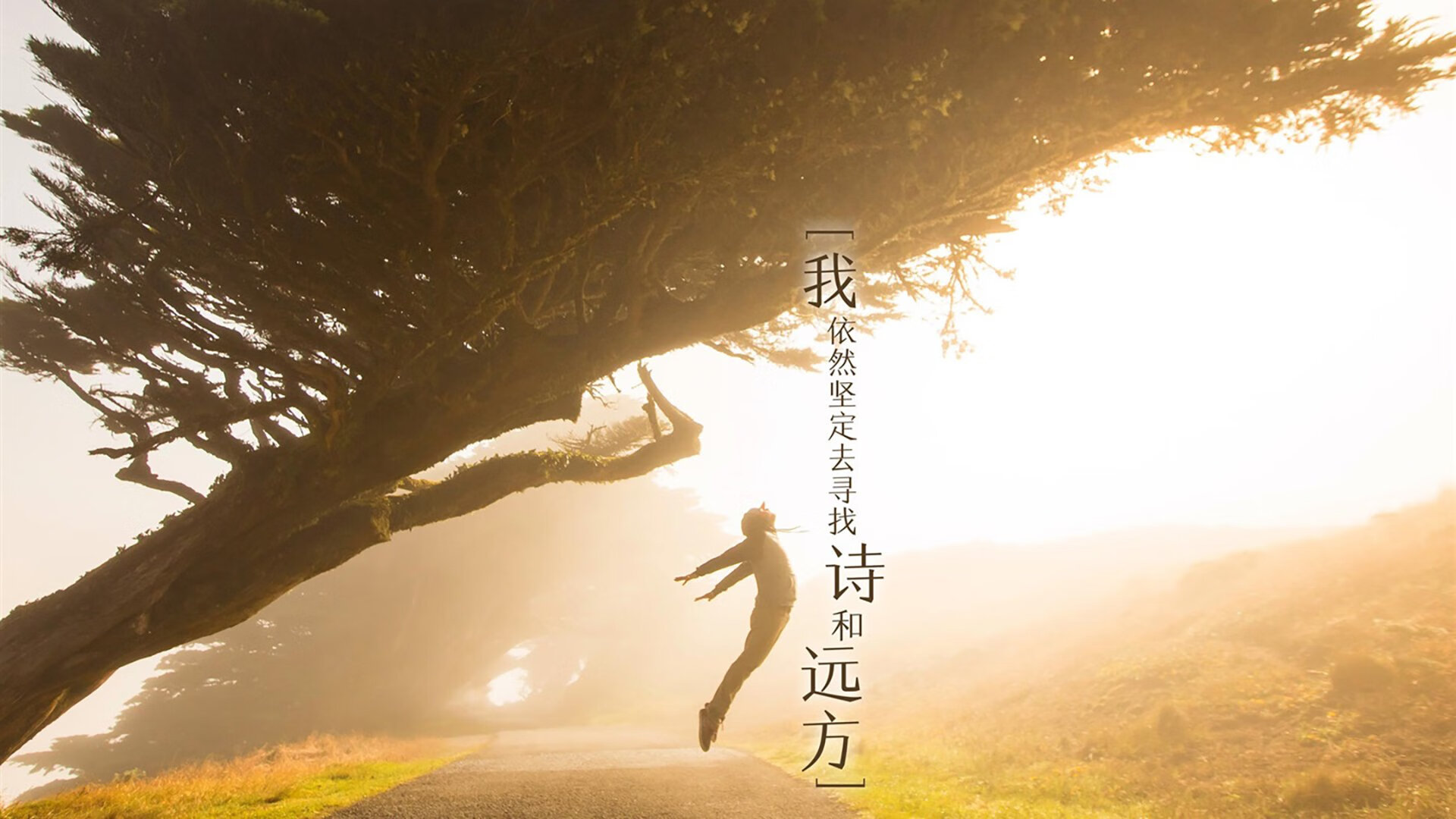 跨越领域的制胜哲学，当皇马以稳制变，鹈鹕靠体系称雄