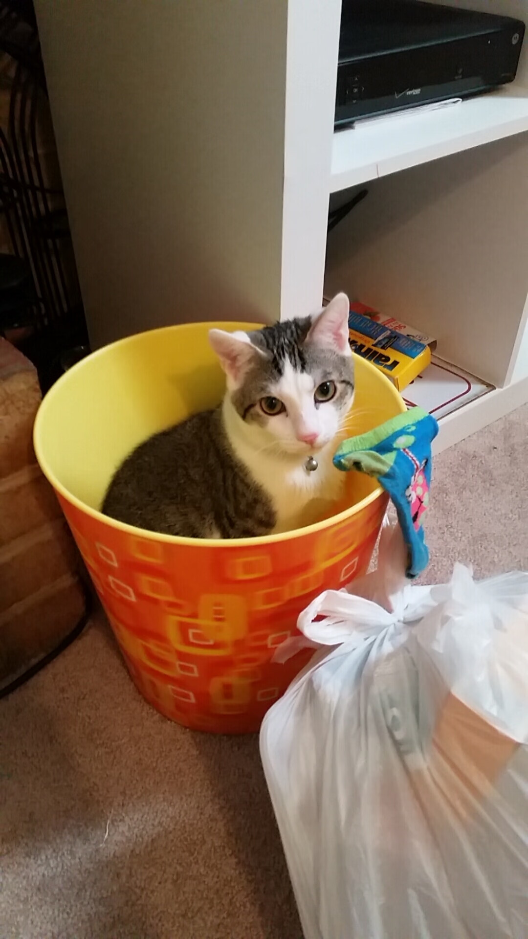 新赛季焦点战鸣枪，马里如F1冠军般绝杀拉齐奥，争冠路上抢下关键进站