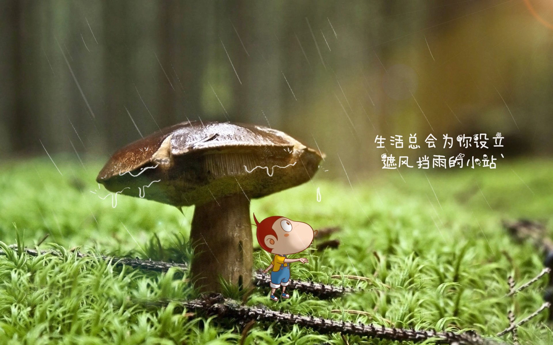 雷火电竞简介-巨鹰利爪与欧洲天王，当东契奇在攻防两端刻下王者印记