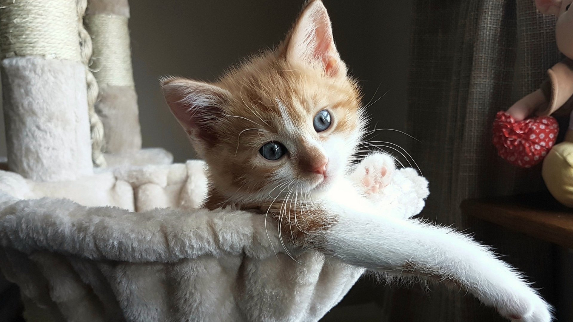 冰与火之战！篮网魔鬼客场掀翻爵士，德罗赞冷面刺客剑封喉