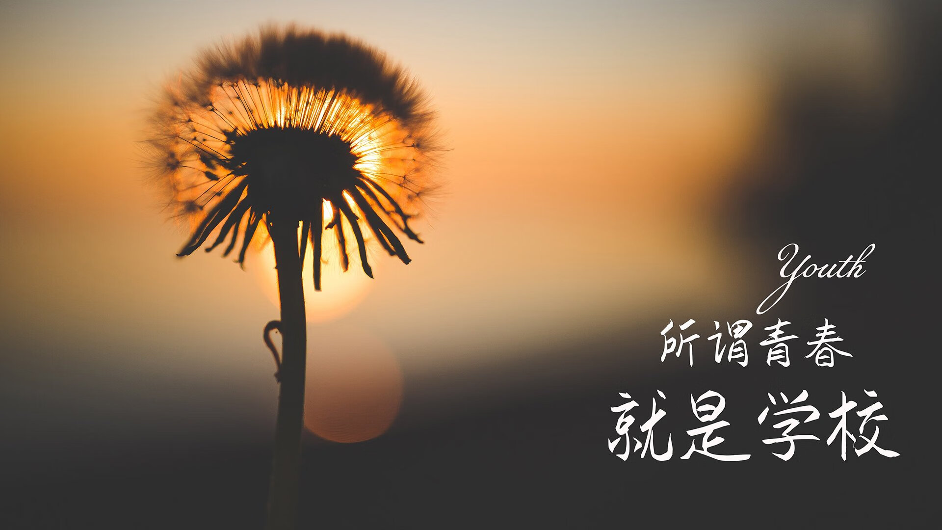 雷火电竞充值-2026世界杯C组，罗马尼亚铁骑横扫奥地利，坎塞洛中场绝对统治力书写传奇一夜
